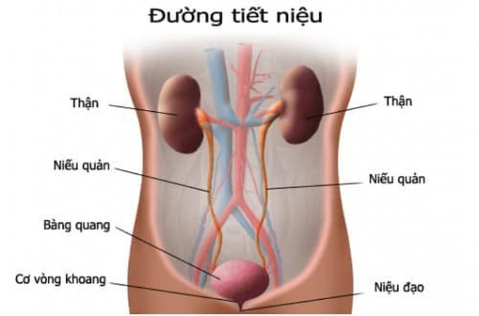 6 dấu hiệu của ung thư tiết niệu