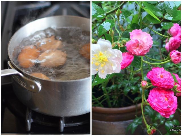 Không cần bón phân chỉ cần tưới 5 loại nước tiên này cây nào cũng cành lá sum suê, chuồi non mọc vỡ chậu