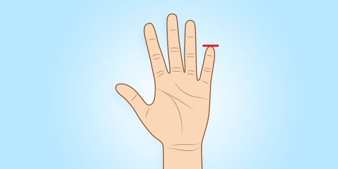 Người có 3 ngón tay này càng dài thì phúc lộc càng dày, phú quý hơn người