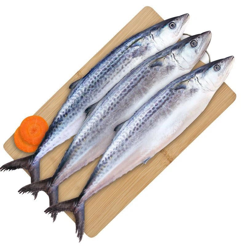 4 loại cá biển thuần tự nhiên, thịt mềm ngon, giàu dinh dưỡng, người khôn thường mua về bồi bổ