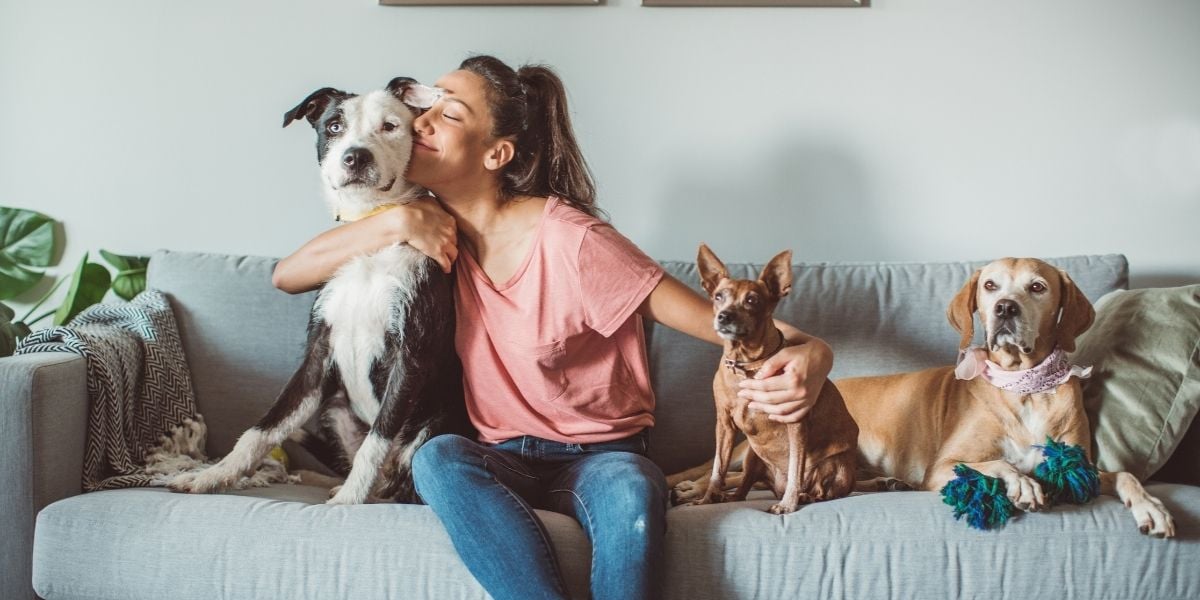 Người trẻ sợ lập gia đình và sinh con, nuôi thú cưng làm vui